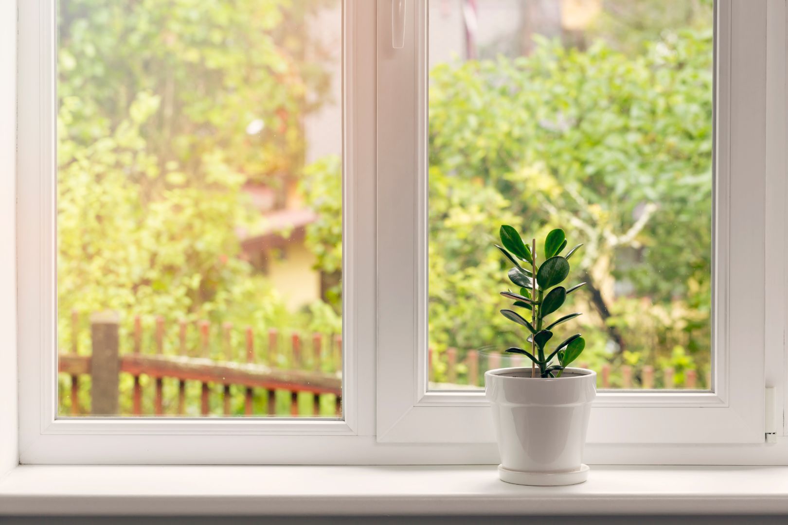 A small green houseplant sits on the windowsill of a vinyl window with a view of an inviting backyard on a sunny day.