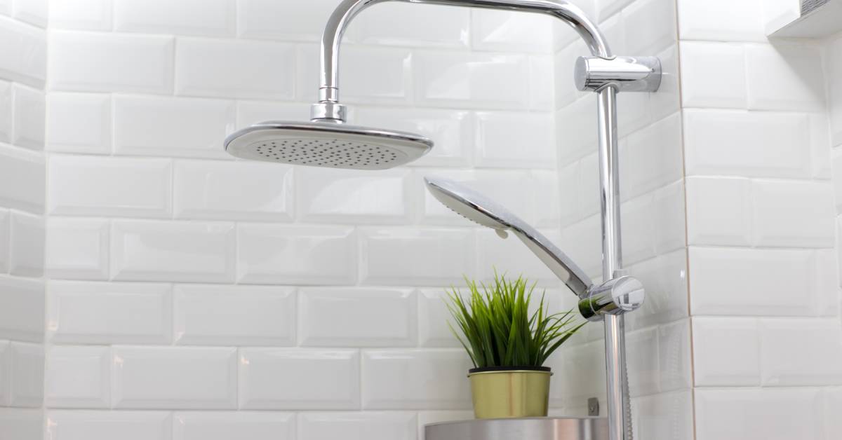 A stainless steel shower head gleams in the white prefab shower of a mobile home. A green plant sits on a shower shelf.